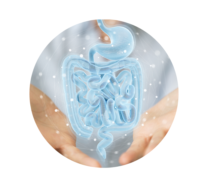 Ирригоскопия (Рентген кишечника)