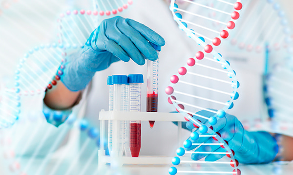 Анализ крови на антитела к эхинококку класса G (IgG) Анализ крови на антитела к эхинококку класса G (IgG)