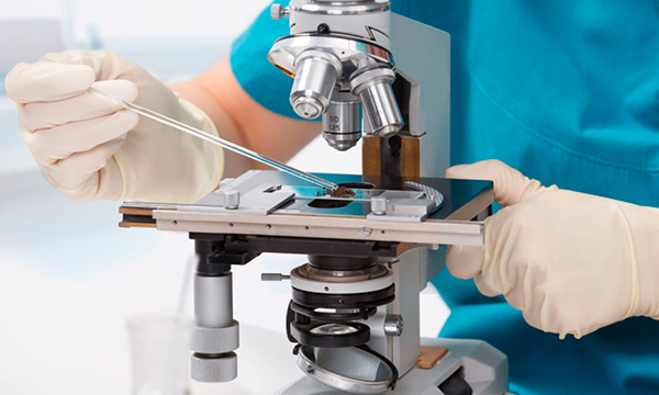 Анализ нативного и окрашенного препарата мокроты Анализ нативного и окрашенного препарата мокроты