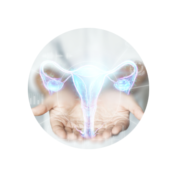 УЗИ шейки матки во время беременности