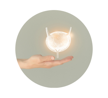 УЗИ предстательной железы и мочевого пузыря с определением остаточной мочи