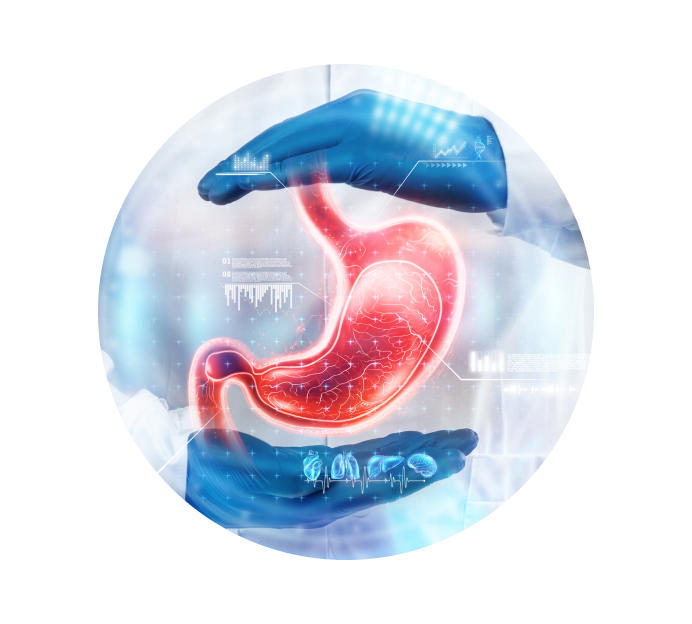 Рентген желудка с барием