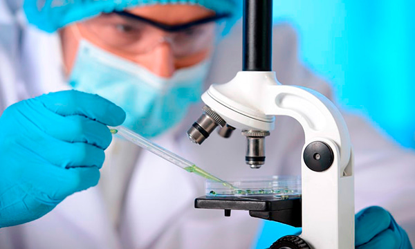 Исследование эндоскопического материала + выявление Helicobacter pylori