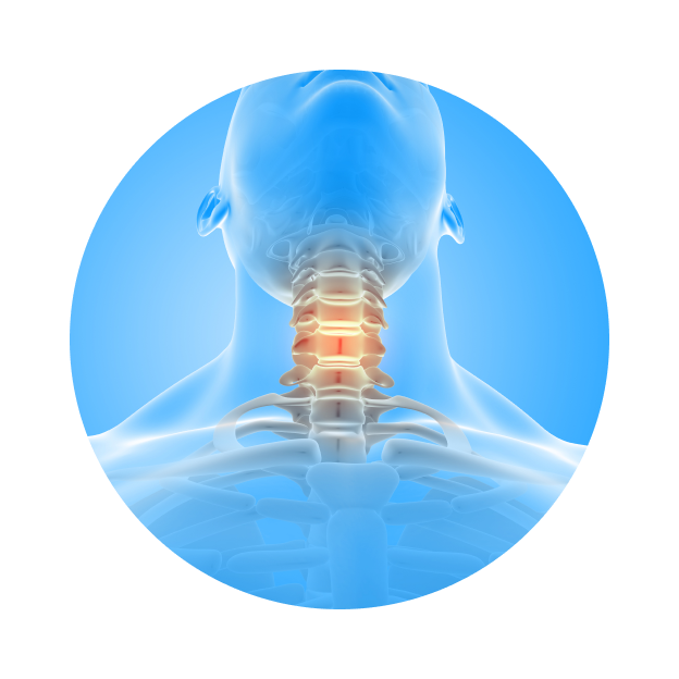 УЗИ шейного отдела позвоночника