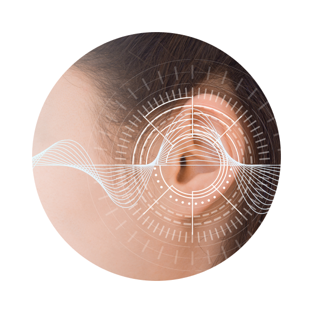 Слуховые вызванные потенциалы (СВП) Слуховые вызванные потенциалы (СВП)